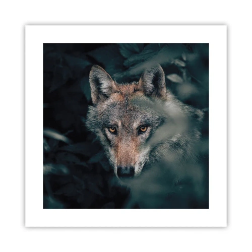 Póster - Cazador - 40x40 cm