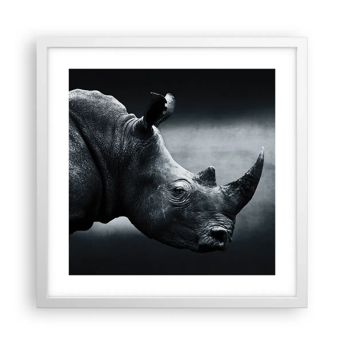 Póster en marco blanco - Perfil derecho - 40x40 cm