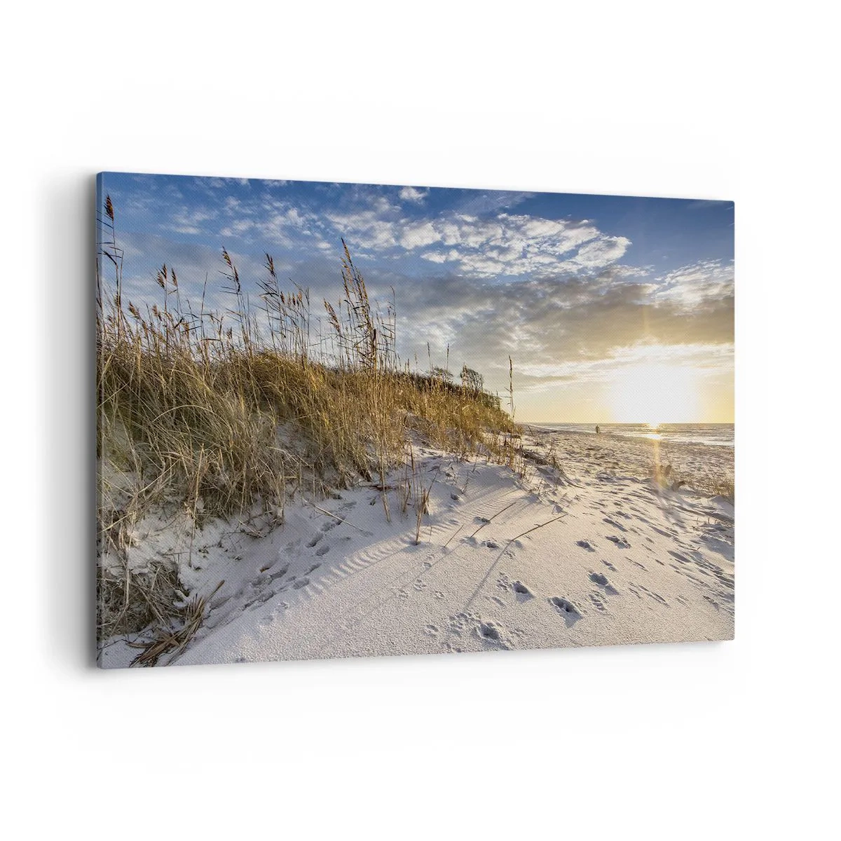 Cuadro sobre lienzo - Impresión de Imagen - Dunas con hierba y huellas en la arena al atardecer - 120x80cm - Invitación a un paseo - Decoración de pared moderna para salón y dormitorio ARTTOR