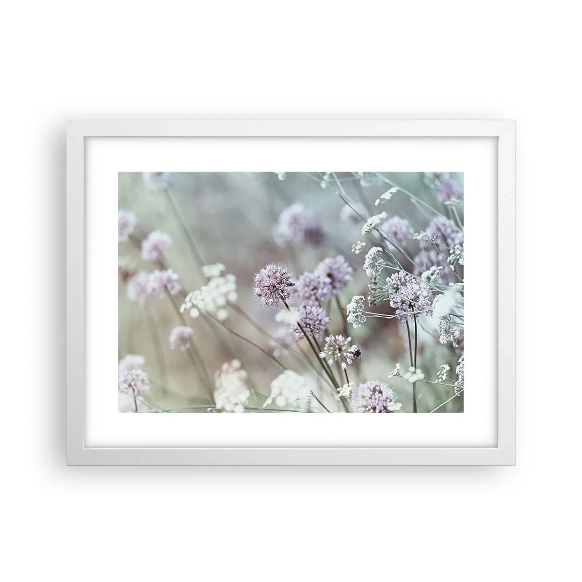 Póster en marco blanco - Dulces filigranas de hierbas - 40x30 cm