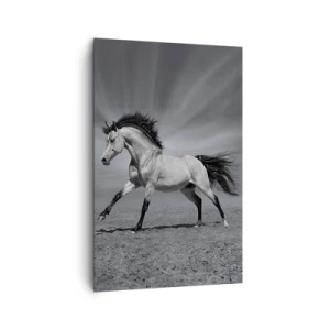 Cuadro sobre lienzo - Impresión de Imagen - Un caballo blanco y negro en una pose dinámica en el desierto. - 80x120cm - Nacido para deleitar - Decoración de pared moderna para salón y dormitorio ARTTOR