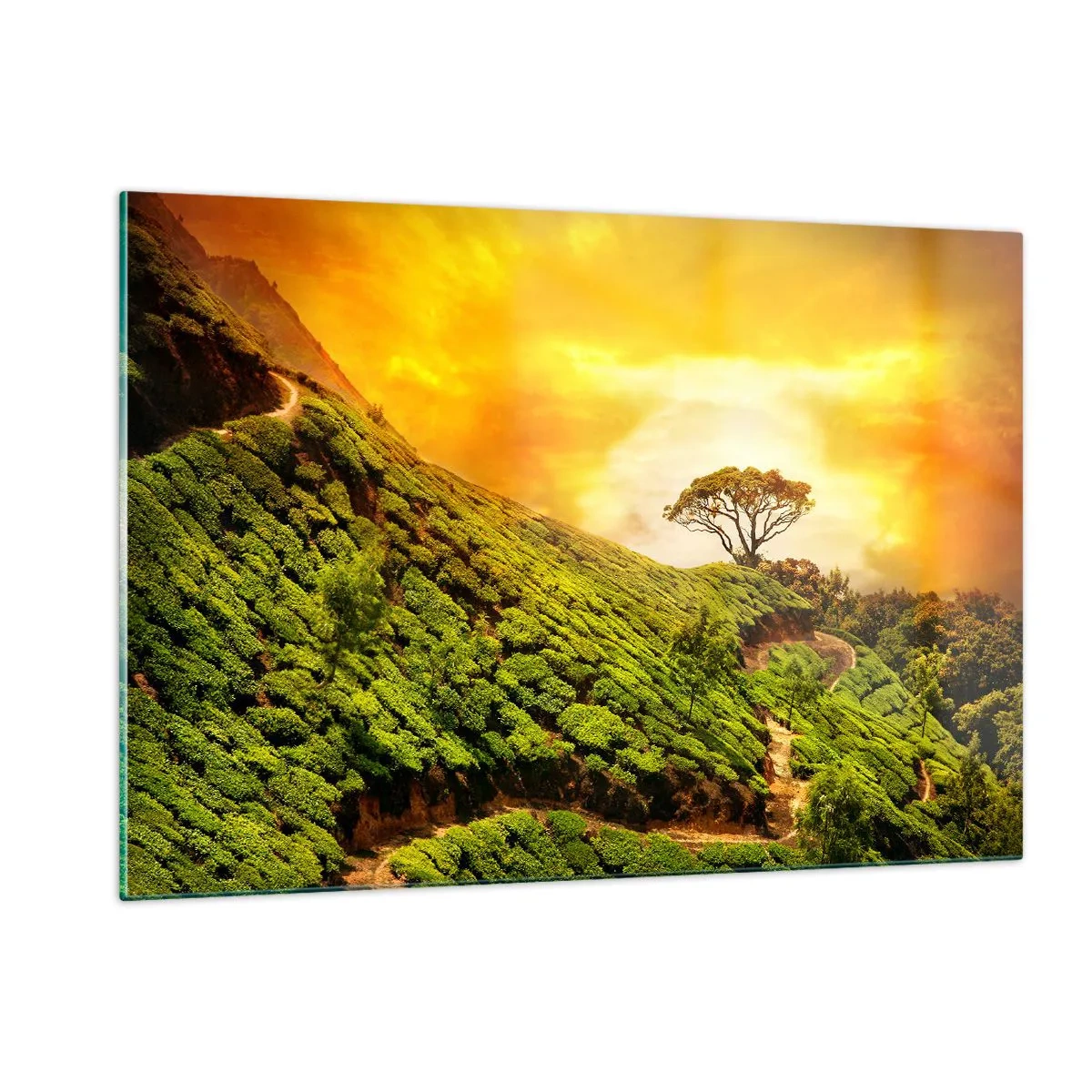 Cuadro sobre vidrio - Impresiones sobre Vidrio - Colinas verdes con un árbol solitario al atardecer - 120x80cm - Por un camino sinuoso, por una verde pendiente - Decoración de pared moderna para salón y dormitorio ARTTOR