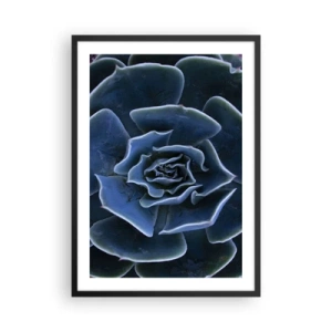 Póster en marco negro - Primer plano artístico de un patrón geométrico suculento - 50x70cm - Flor del desierto - Decoración de pared moderna para salón y dormitorio ARTTOR