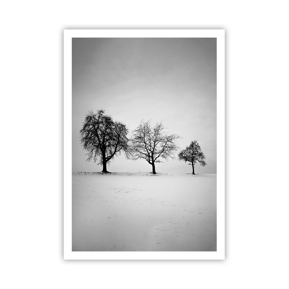 Póster - ¿Con qué sueñan? - 70x100 cm