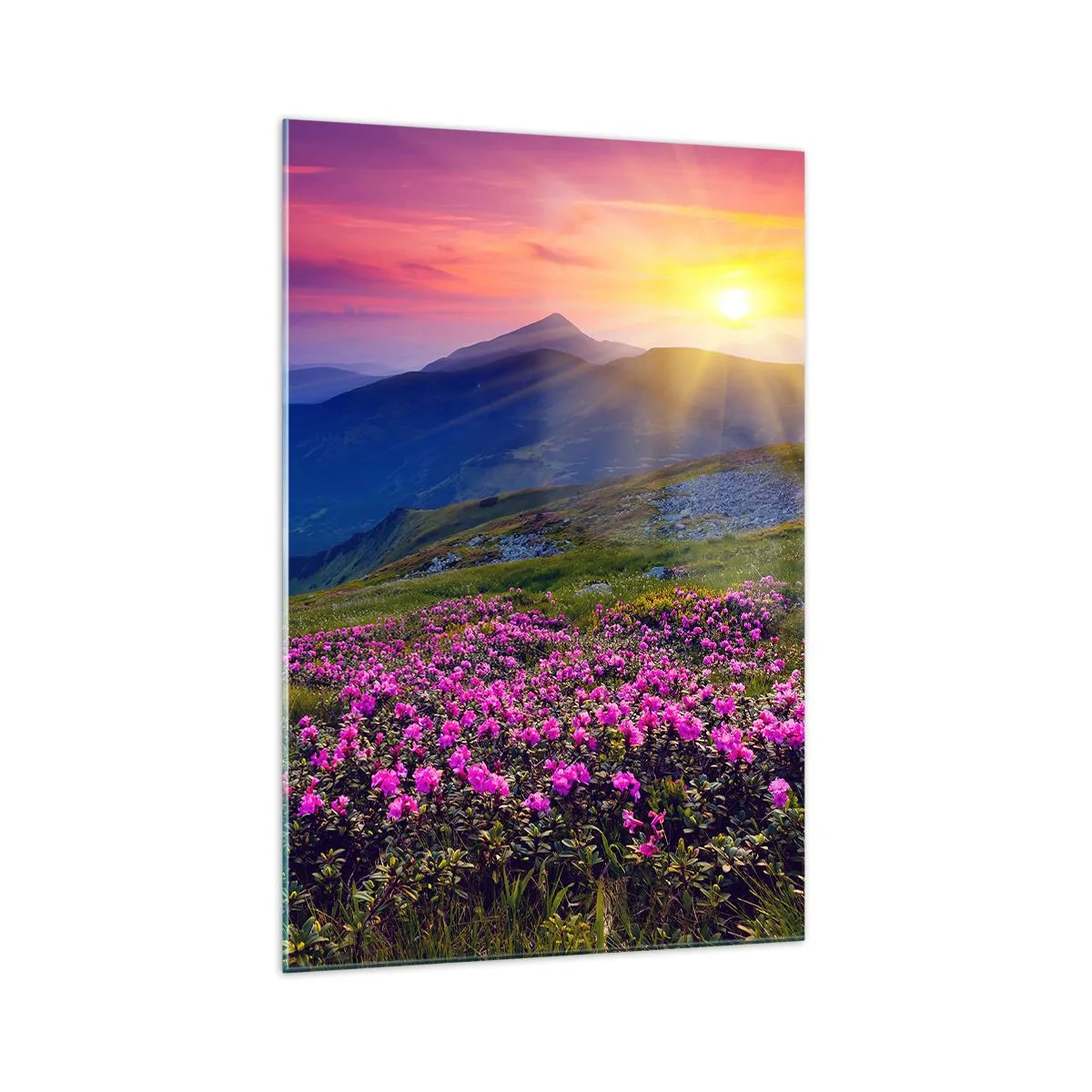 Cuadro sobre vidrio - Impresiones sobre Vidrio - Un prado florido con vistas a las montañas durante la puesta de sol. - 70x100cm - ... Y el aroma a hierbas está por todas partes - Decoración de pared moderna para salón y dormitorio ARTTOR