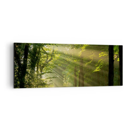 Cuadro sobre lienzo - Impresión de Imagen - Camino forestal con rayos de sol brillando a través de los árboles. - 140x50cm - Un momento en el bosque - Decoración de pared moderna para salón y dormitorio ARTTOR