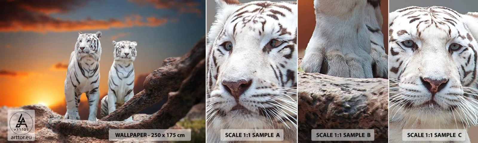 Muestra de fotomural autoadhesivo Deluxe Sticker - Como en Narnia - animales, Tigre, Atardecer - 100x30 cm