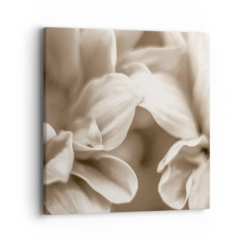 Cuadro sobre lienzo - Impresión de Imagen - Suave como una sonrisa - 40x40 cm