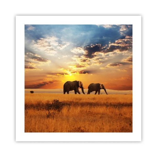 Póster - Un paseo en familia - 50x50 cm
