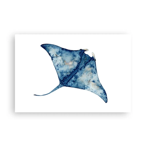 Póster - La vida en azul - 91x61 cm