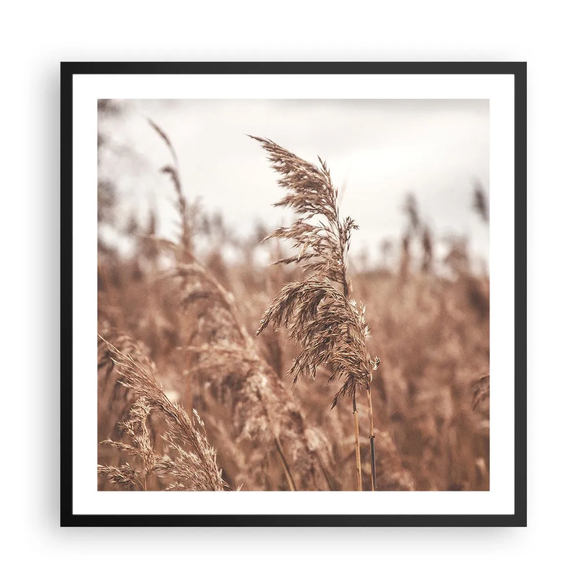 Póster en marco negro - El otoño ya está en los campos - 60x60 cm