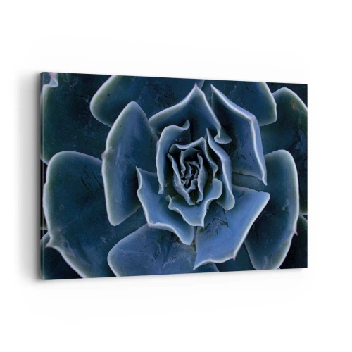 Cuadro sobre lienzo - Impresión de Imagen - Primer plano de una roseta suculenta verde - 100x70cm - Flor del desierto - Decoración de pared moderna para salón y dormitorio ARTTOR