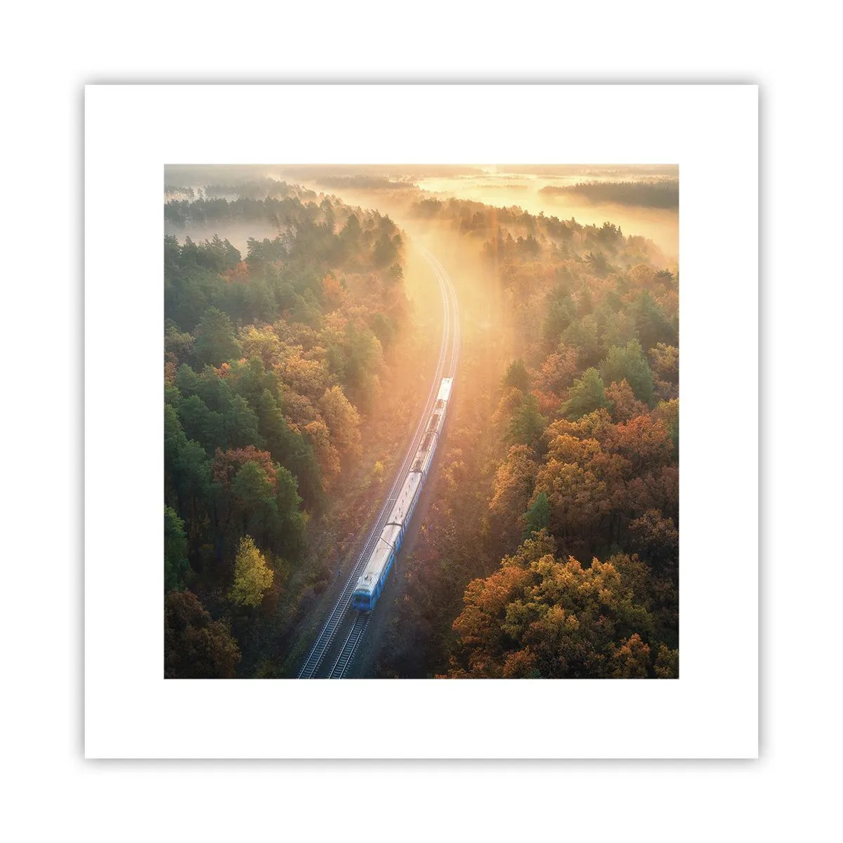 Póster - Un viaje otoñal - 30x30 cm