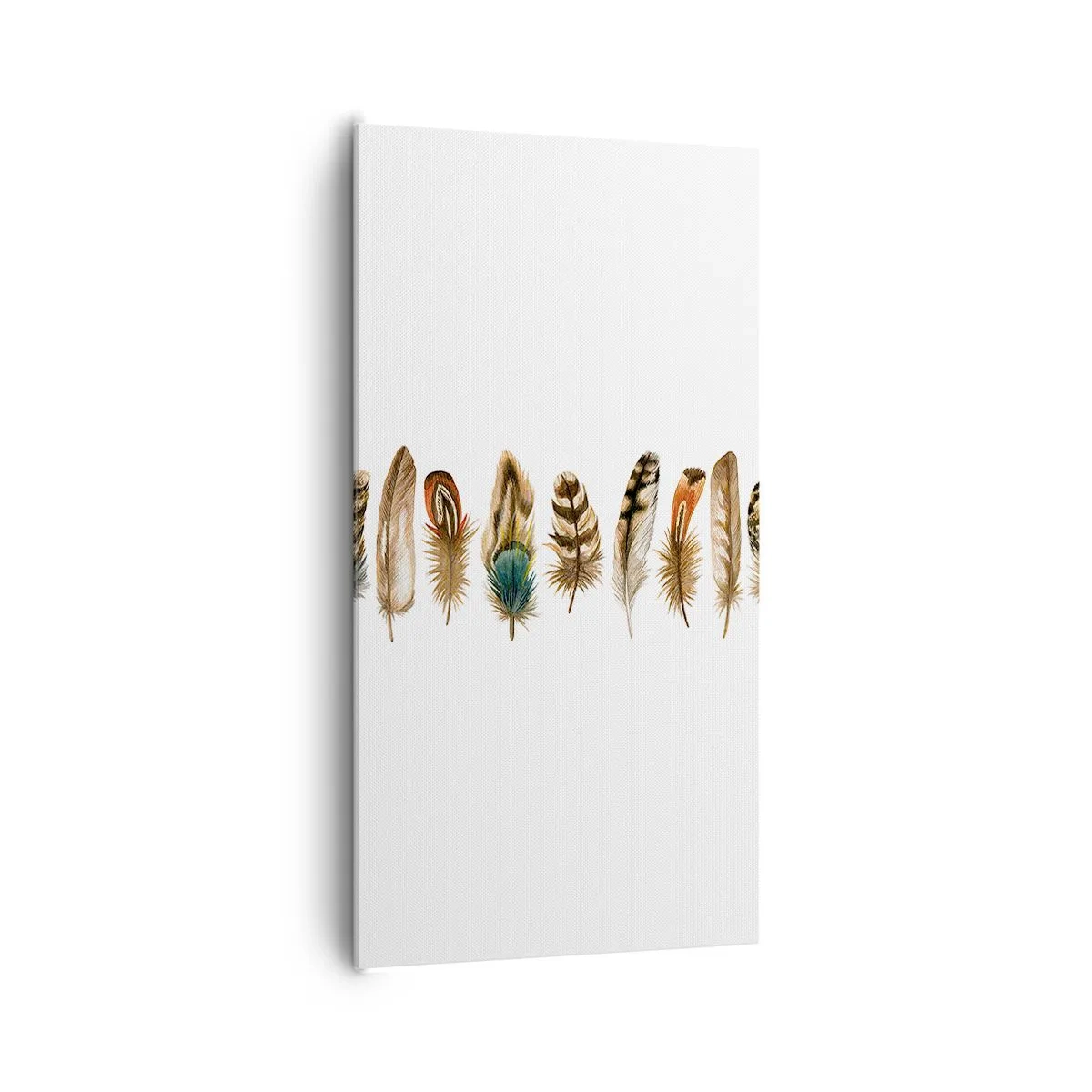 Cuadro sobre lienzo - Impresión de Imagen - Estudio de plumas - 65x120 cm