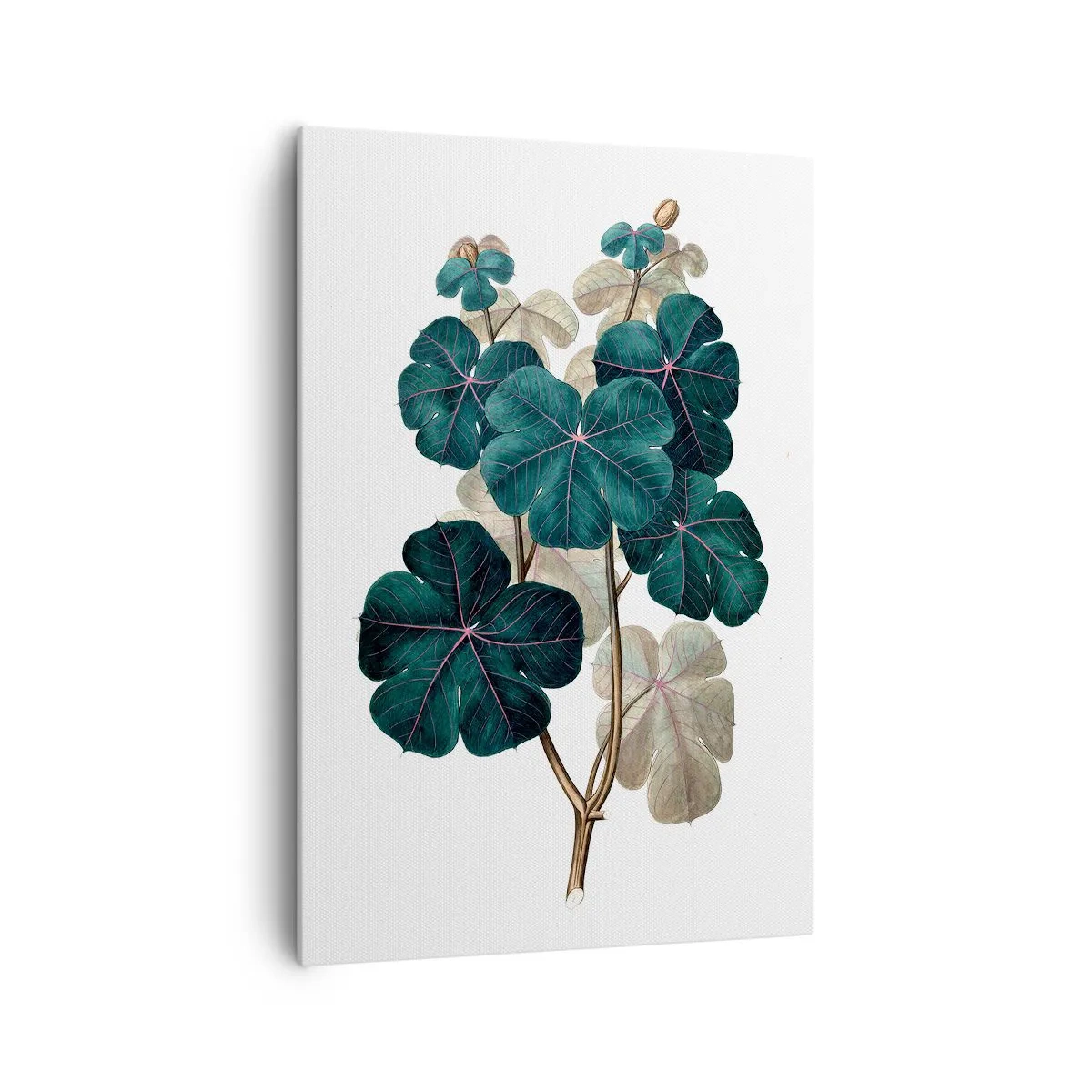 Cuadro sobre lienzo - Impresión de Imagen - Ilustración botánica con hojas en tonos verdes y beige. - 70x100cm - De un viejo herbario - Decoración de pared moderna para salón y dormitorio ARTTOR
