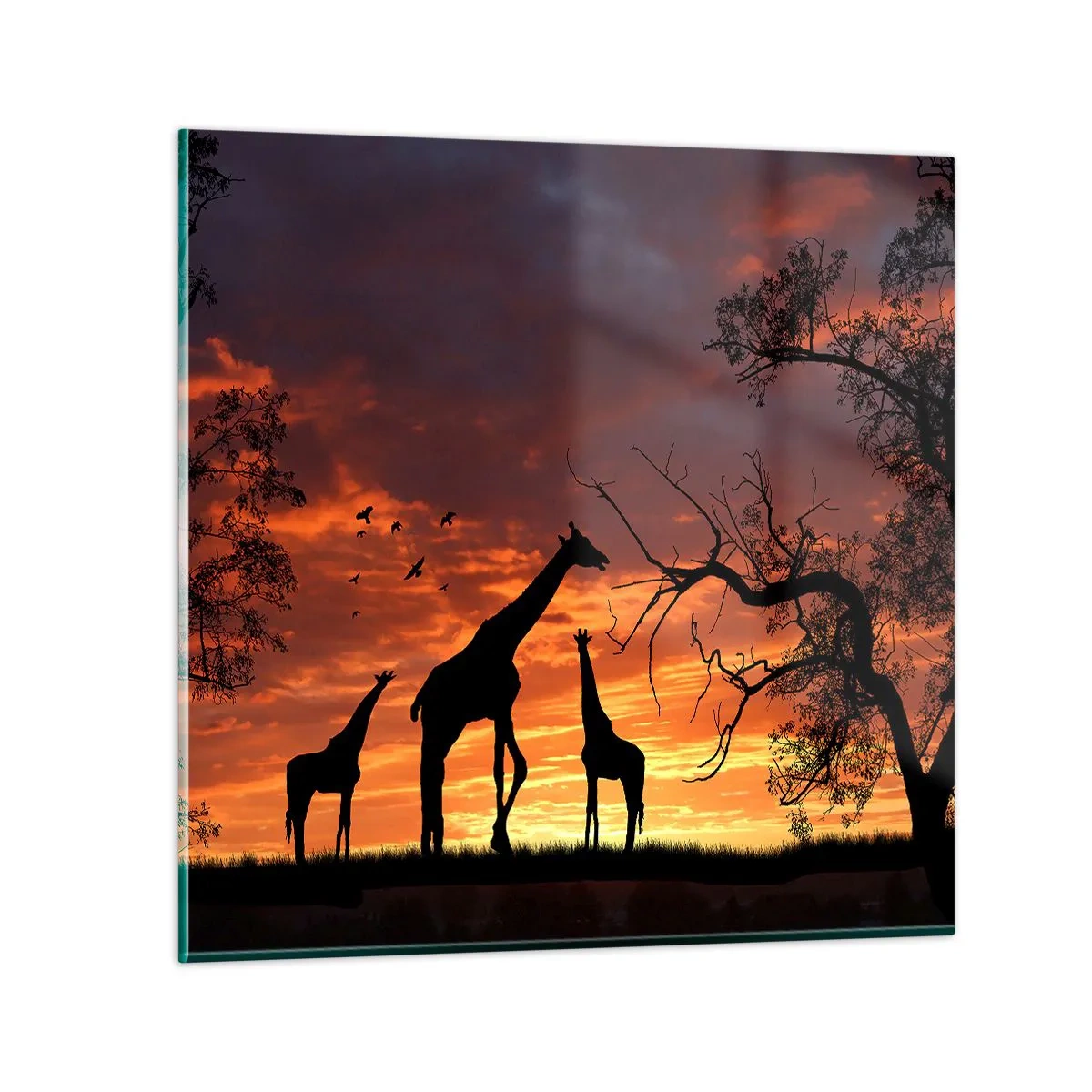 Cuadro sobre vidrio - Impresiones sobre Vidrio - Una pequeña cena con tus seres queridos - 70x70 cm