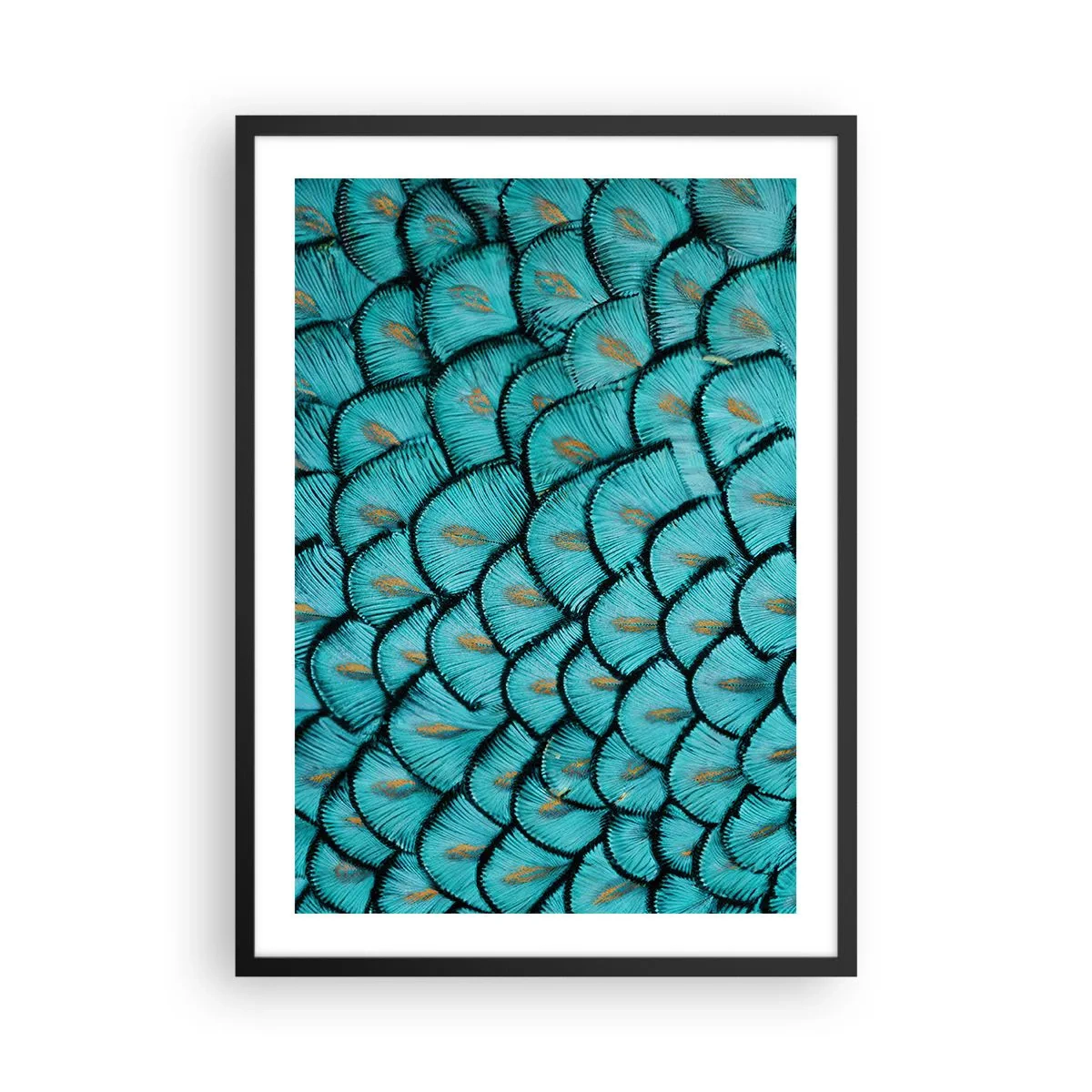 Póster en marco negro - Fotografía macro de plumas turquesas con un patrón único. - 50x70cm - La gran gala de las plumas - Decoración de pared moderna para salón y dormitorio ARTTOR