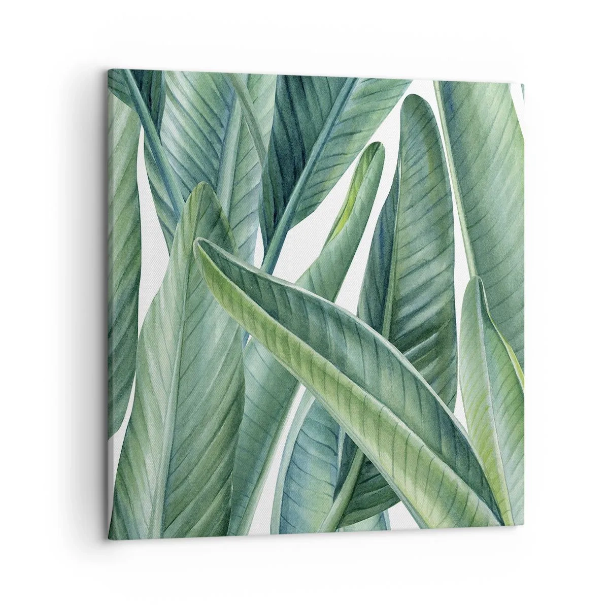 Cuadro sobre lienzo - Impresión de Imagen - Vegetación en estado puro - 50x50 cm