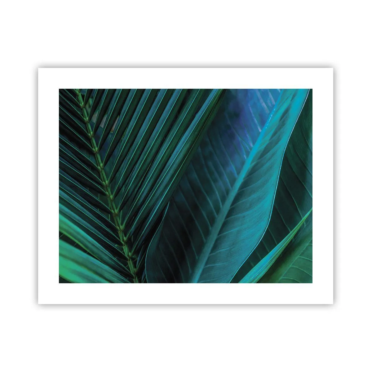 Póster - Anatomía del verde - 50x40 cm