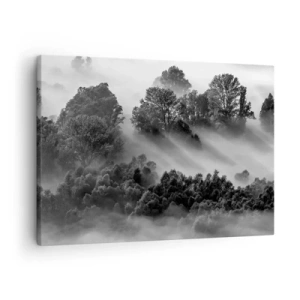 Cuadro sobre lienzo - Impresión de Imagen - Paisaje forestal en blanco y negro en la niebla matutina - 70x50cm - Levantarse del sueño - Decoración de pared moderna para salón y dormitorio ARTTOR