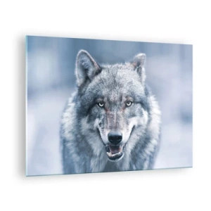 Cuadro sobre vidrio - Impresiones sobre Vidrio - Un lobo con una mirada penetrante sobre el fondo de un bosque nevado. - 70x50cm - ¿Aceptarás el reto? - Decoración de pared moderna para salón y dormitorio ARTTOR
