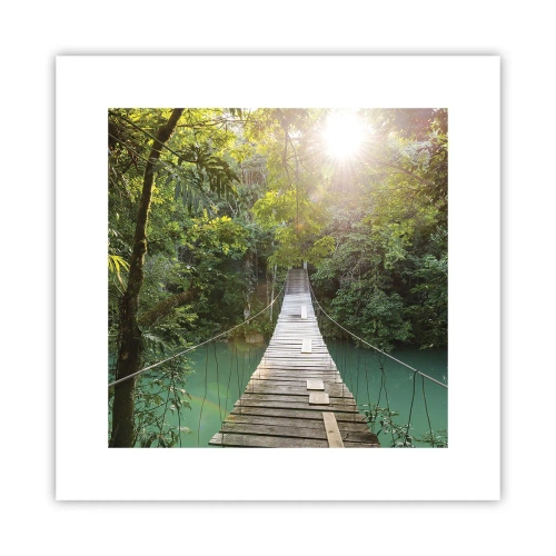 Póster - Sobre el agua azul hacia el bosque - 30x30 cm