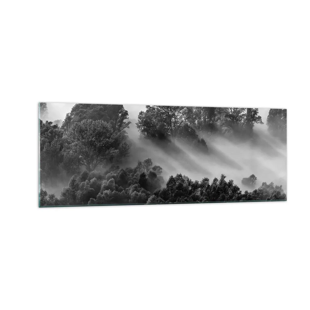 Cuadro sobre vidrio - Impresiones sobre Vidrio - Paisaje forestal en blanco y negro en la niebla matutina - 140x50cm - Levantarse del sueño - Decoración de pared moderna para salón y dormitorio ARTTOR