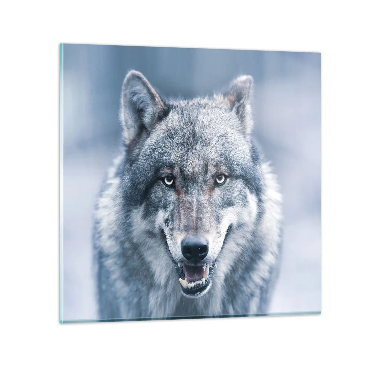 Cuadro sobre vidrio - Impresiones sobre Vidrio - ¿Aceptarás el reto? - 50x50 cm