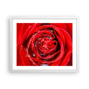 Póster en marco blanco - En gotas de rocío - 50x40 cm