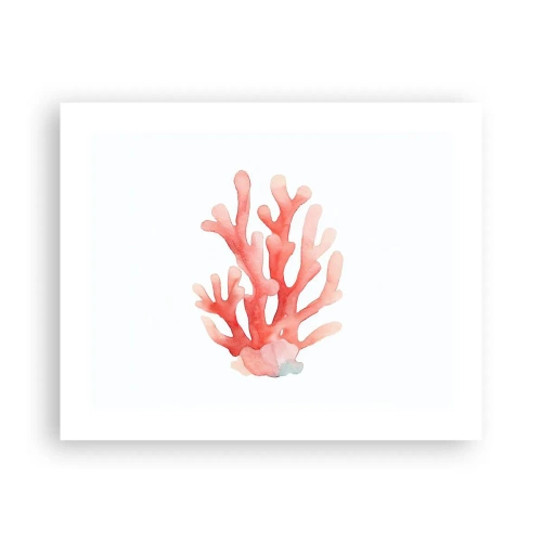 Póster - La hermosura del color coral - 50x40 cm