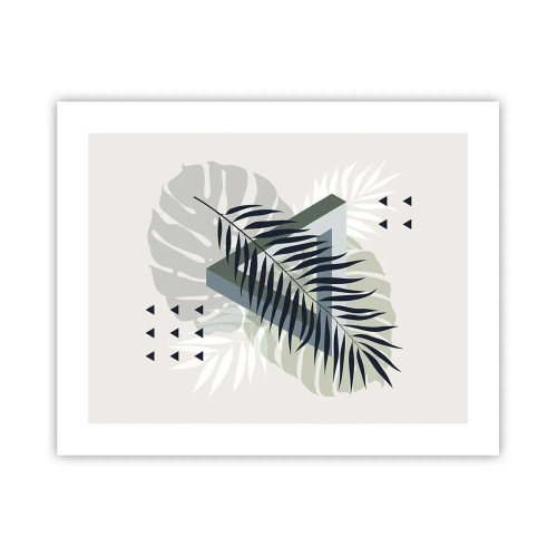Póster - Naturaleza y geometría - 50x40 cm