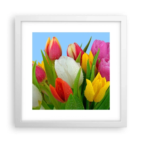 Póster en marco blanco - Arco iris floral en gotas de rocío - 30x30 cm