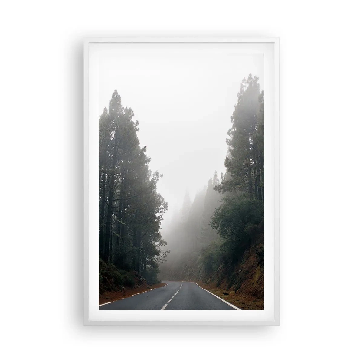 Póster en marco blanco - La historia de un bosque mágico - 61x91 cm