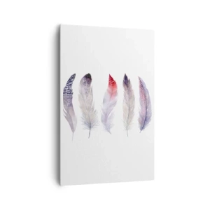 Cuadro sobre lienzo - Impresión de Imagen - Cinco delicadas plumas en tonos pastel sobre un fondo claro. - 80x120cm - Suave como la niebla de muchos colores - Decoración de pared moderna para salón y dormitorio ARTTOR