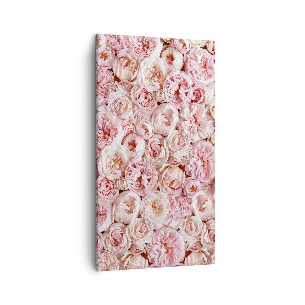 Cuadro sobre lienzo - Impresión de Imagen - Salpicado de rosas - 45x80 cm