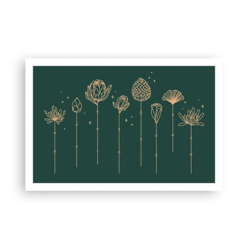 Póster - La familia vegetal - 91x61 cm