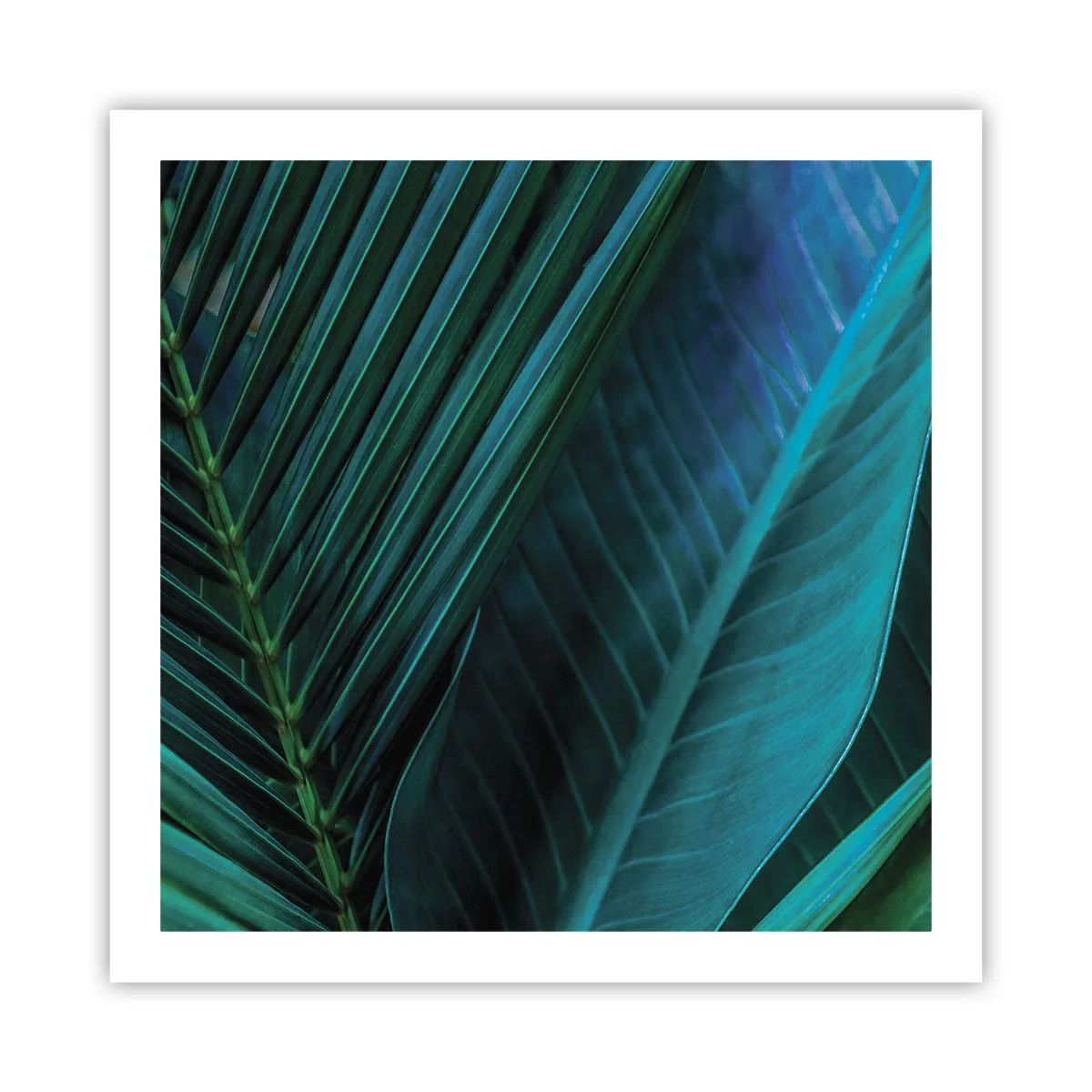 Póster - Anatomía del verde - 60x60 cm