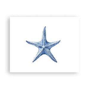 Póster - Estrella de mar - 50x40 cm
