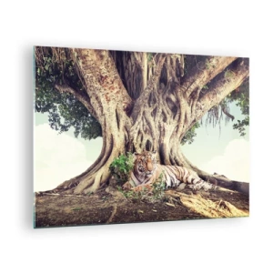 Cuadro sobre vidrio - Impresiones sobre Vidrio - Un tigre tumbado bajo un árbol extendido en la jungla. - 70x50cm - Una visión desde el Génesis - Decoración de pared moderna para salón y dormitorio ARTTOR