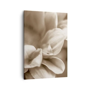 Cuadro sobre lienzo - Impresión de Imagen - Primer plano de flores en un delicado tono sepia con contornos suaves. - 50x70cm - Suave como una sonrisa - Decoración de pared moderna para salón y dormitorio ARTTOR