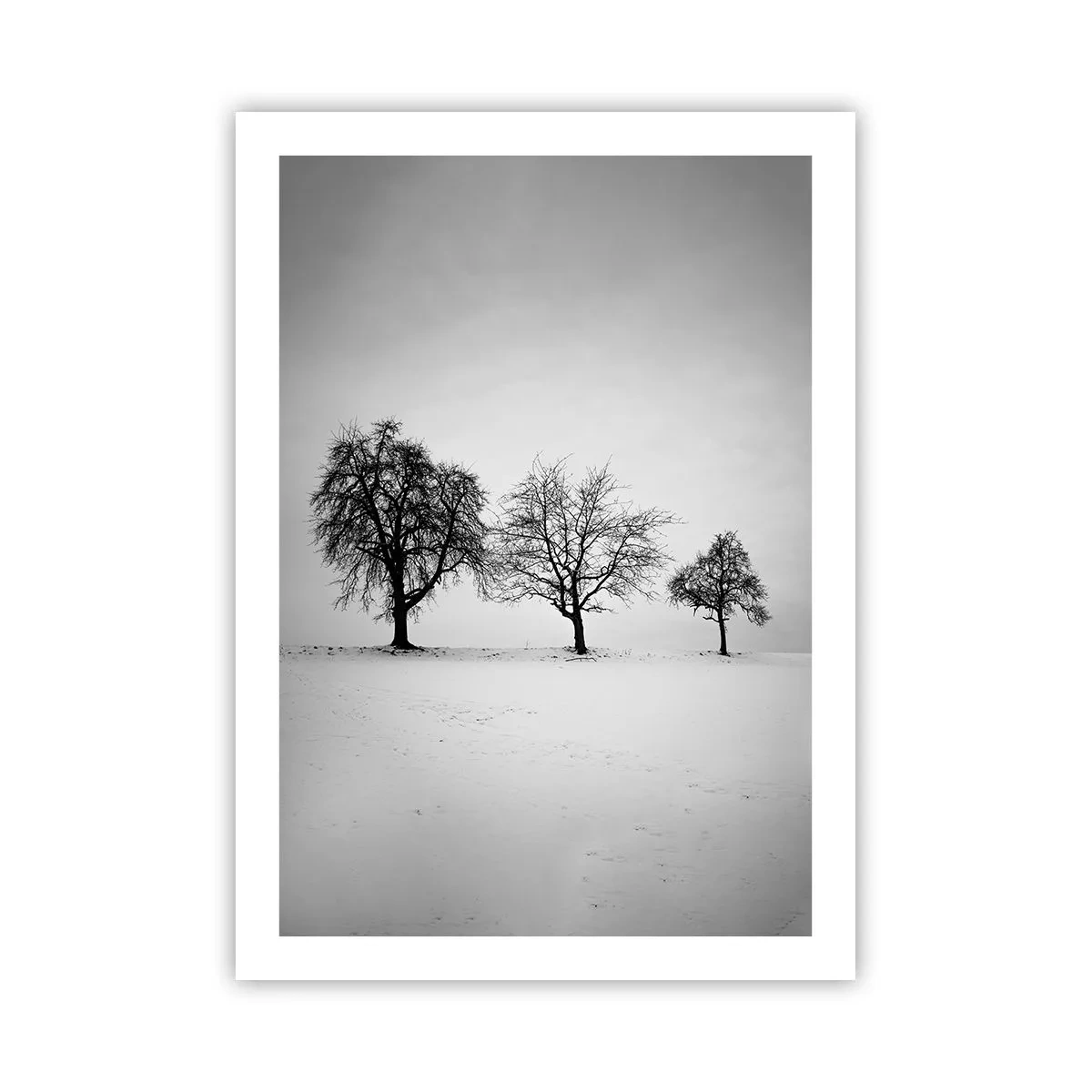 Póster - Tres árboles en un campo nevado en blanco y negro - 50x70cm - ¿Con qué sueñan? - Decoración de pared moderna para salón y dormitorio ARTTOR