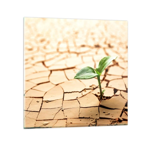 Cuadro sobre vidrio - Impresiones sobre Vidrio - El poder indomable de la vida - 40x40 cm