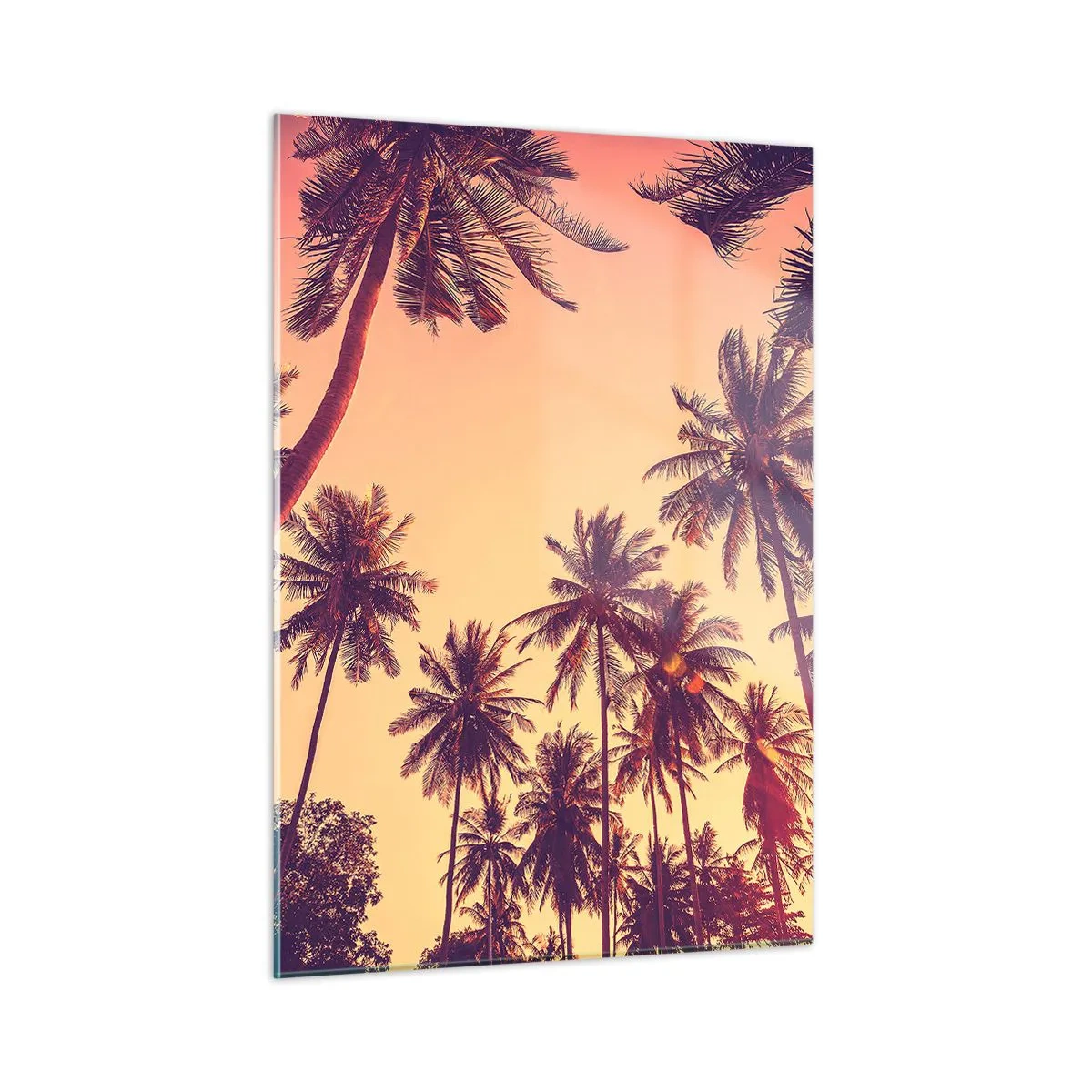 Cuadro sobre vidrio - Impresiones sobre Vidrio - Palmeras bajo los rayos del sol poniente - 50x70cm - Variante tropical - Decoración de pared moderna para salón y dormitorio ARTTOR