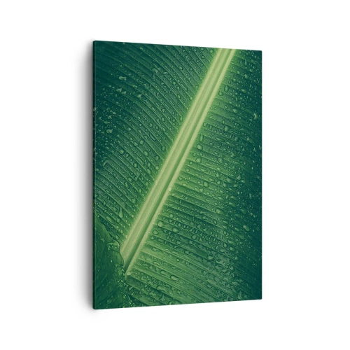 Cuadro sobre lienzo - Impresión de Imagen - Una hoja verde con gotas de agua en su superficie. - 50x70cm - Estructura del verde - Decoración de pared moderna para salón y dormitorio ARTTOR