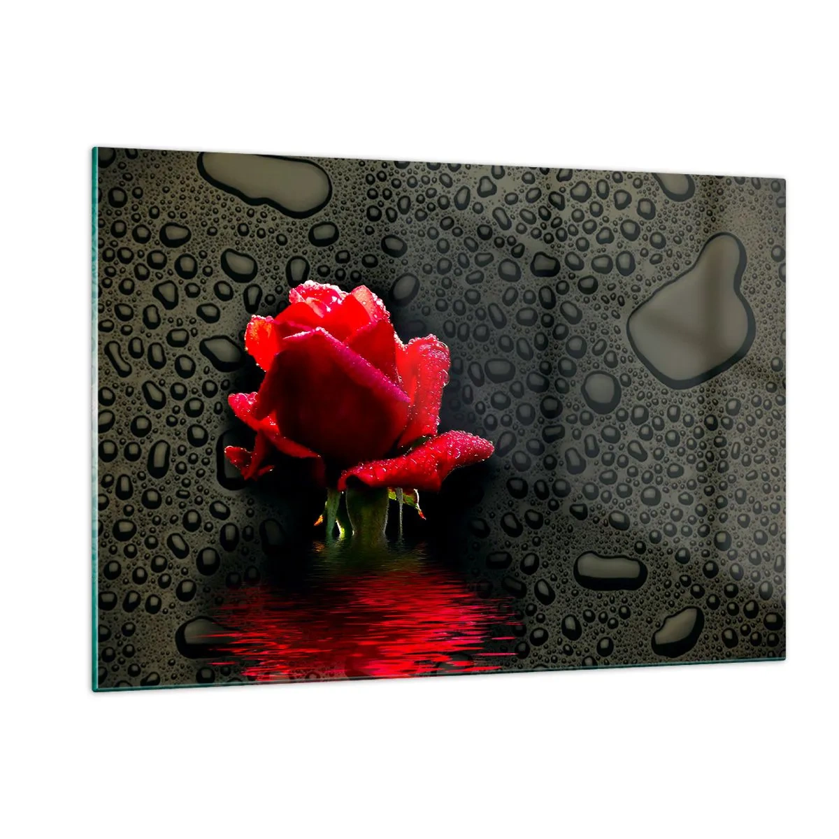Cuadro sobre vidrio - Impresiones sobre Vidrio - Rosa roja con gotas de agua sobre un fondo oscuro - 120x80cm - Rojo y negro - Decoración de pared moderna para salón y dormitorio ARTTOR