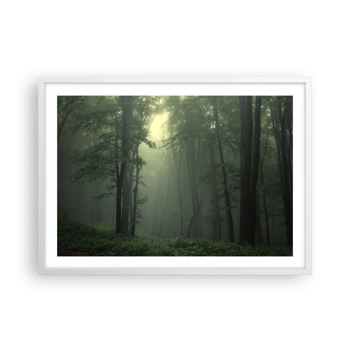 Póster en marco blanco - Antes de que se despierte el bosque - 70x50 cm