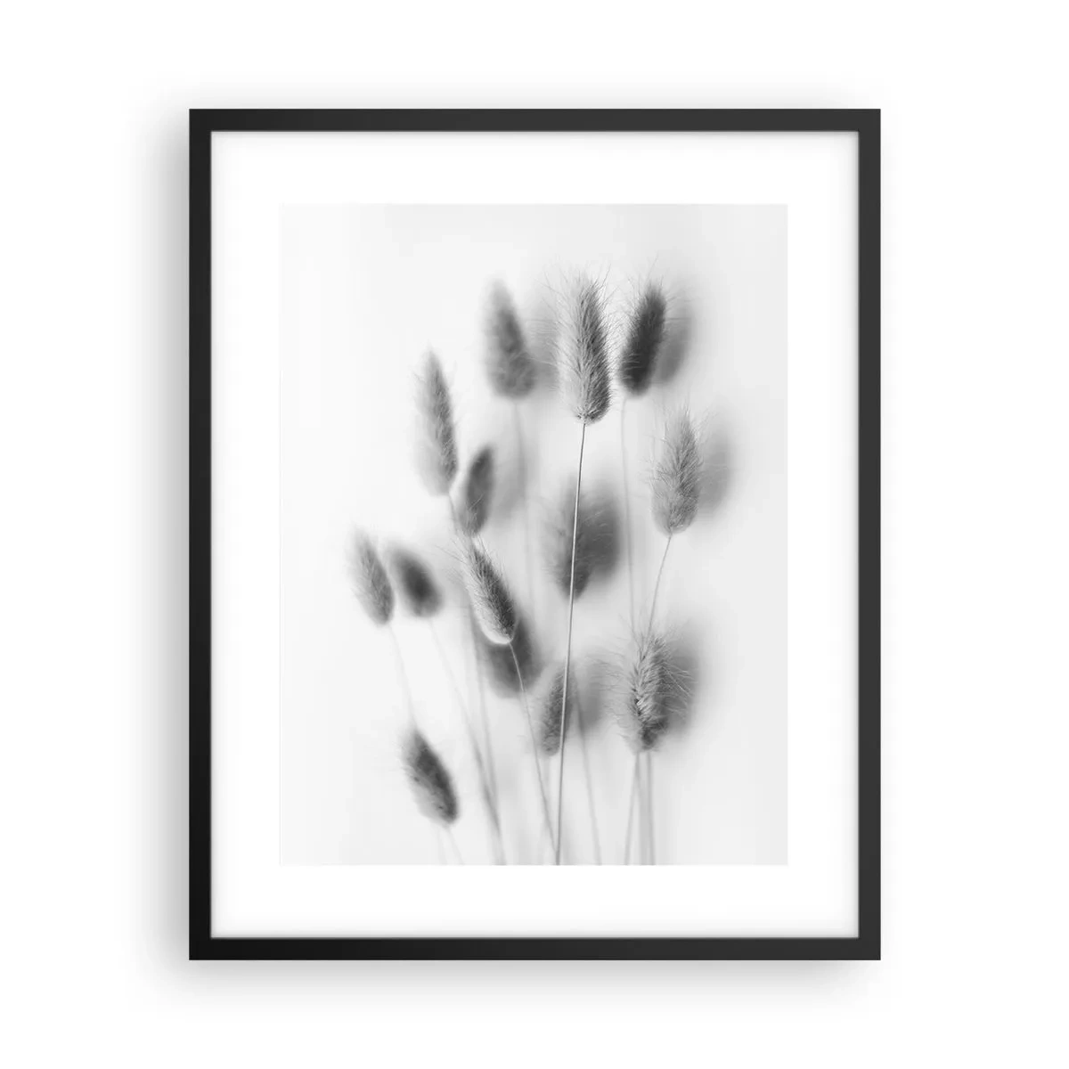 Póster en marco negro - Esponjas naturales - 40x50 cm