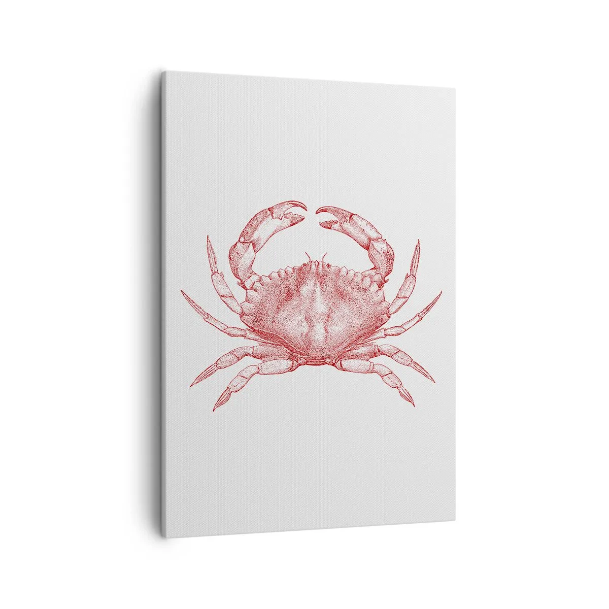Cuadro sobre lienzo - Impresión de Imagen - Dibujo de un cangrejo en tono rojo. - 50x70cm - El explorador de las rocas - Decoración de pared moderna para salón y dormitorio ARTTOR