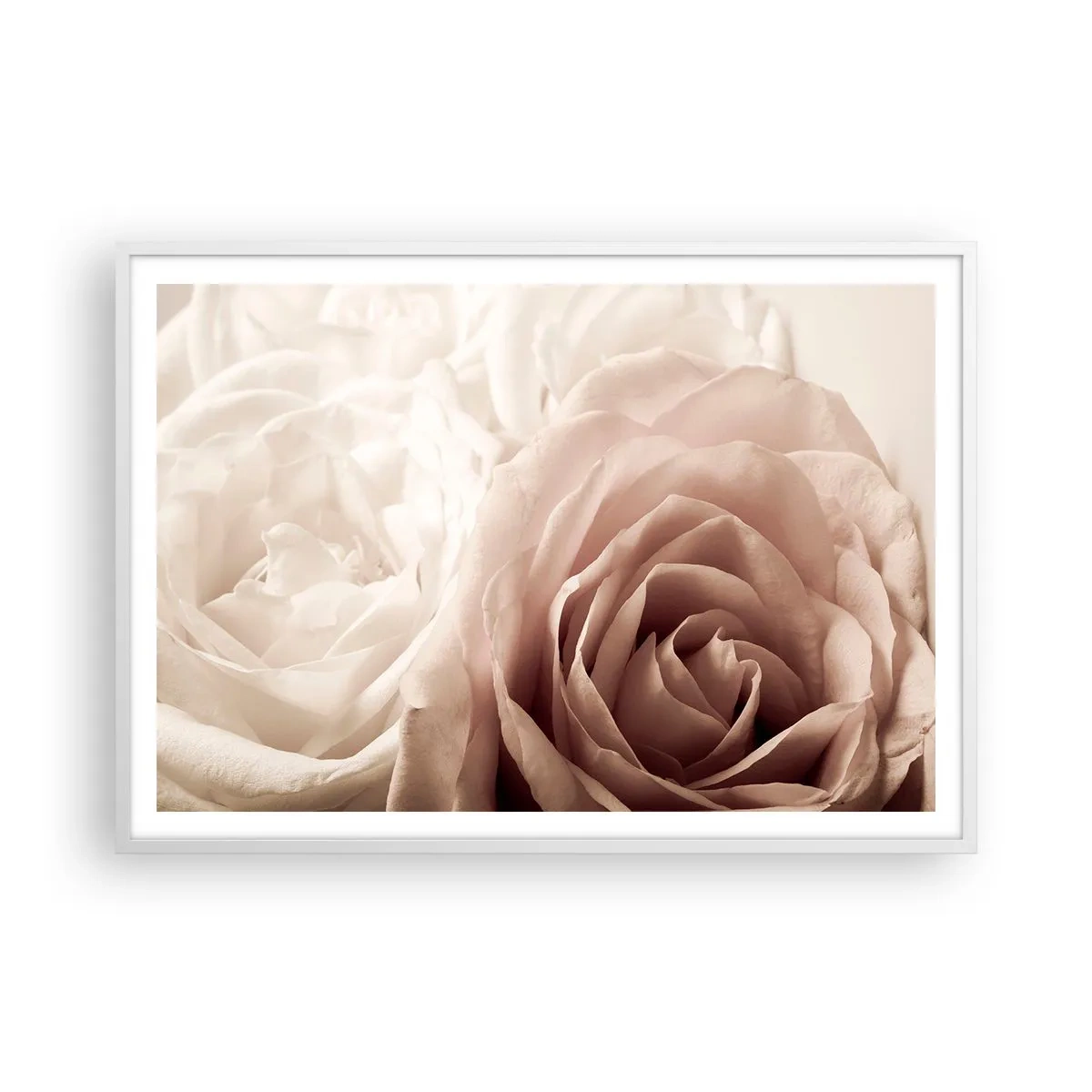 Póster en marco blanco - En el corazón de una rosa - 100x70 cm