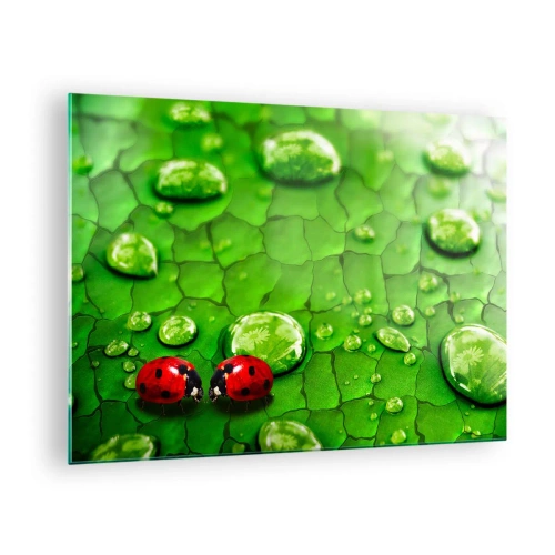 Cuadro sobre vidrio - Impresiones sobre Vidrio - Dos mariquitas en una hoja verde con gotas de agua. - 70x50cm - Reunión sobre verde - Decoración de pared moderna para salón y dormitorio ARTTOR